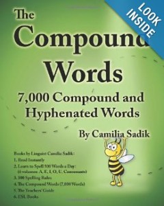 The Compound Words Book by Camilia Sadik